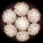 Luxury Apartment The Dom Lugano Apartament